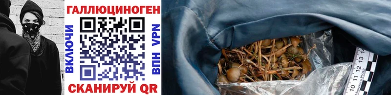 Псилоцибиновые грибы Psilocybe  Купить где  Кораблино 